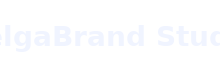 BelgaBrand Studio